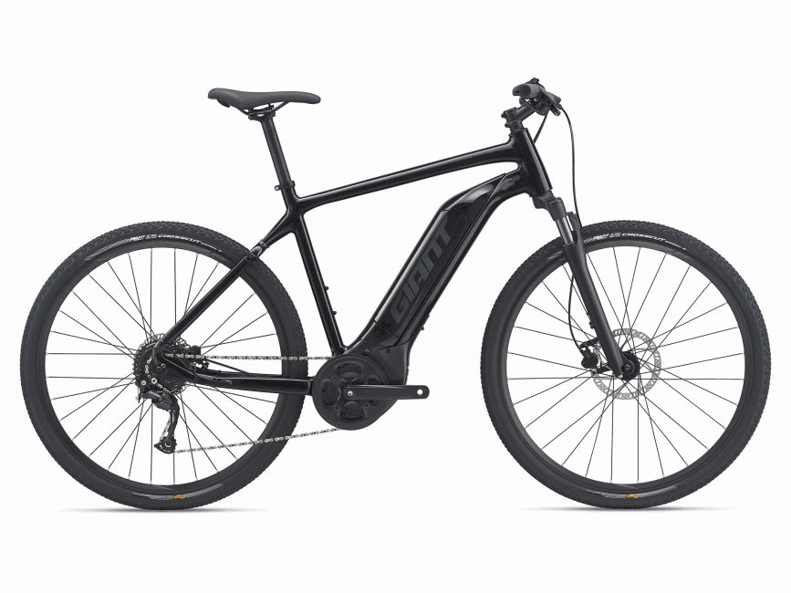 giant, e roam,2021,cicli ambrosi